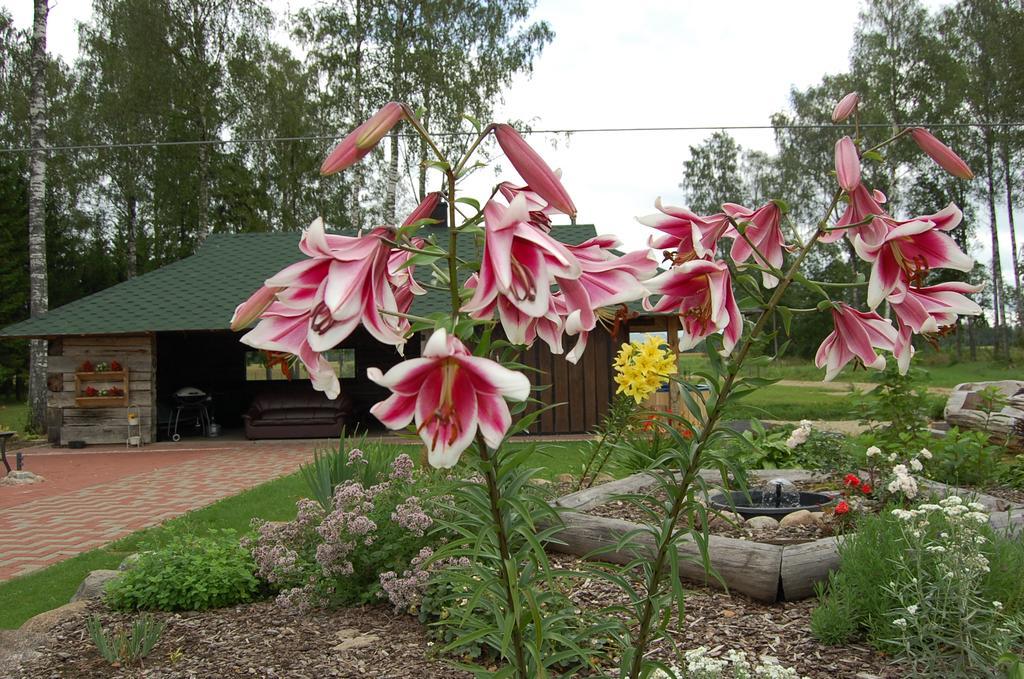 Spa Glamping Kirikumoisa Esterno foto